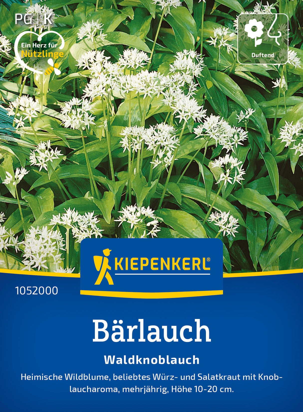 Kiepenkerl Bärlauch Waldknoblauch