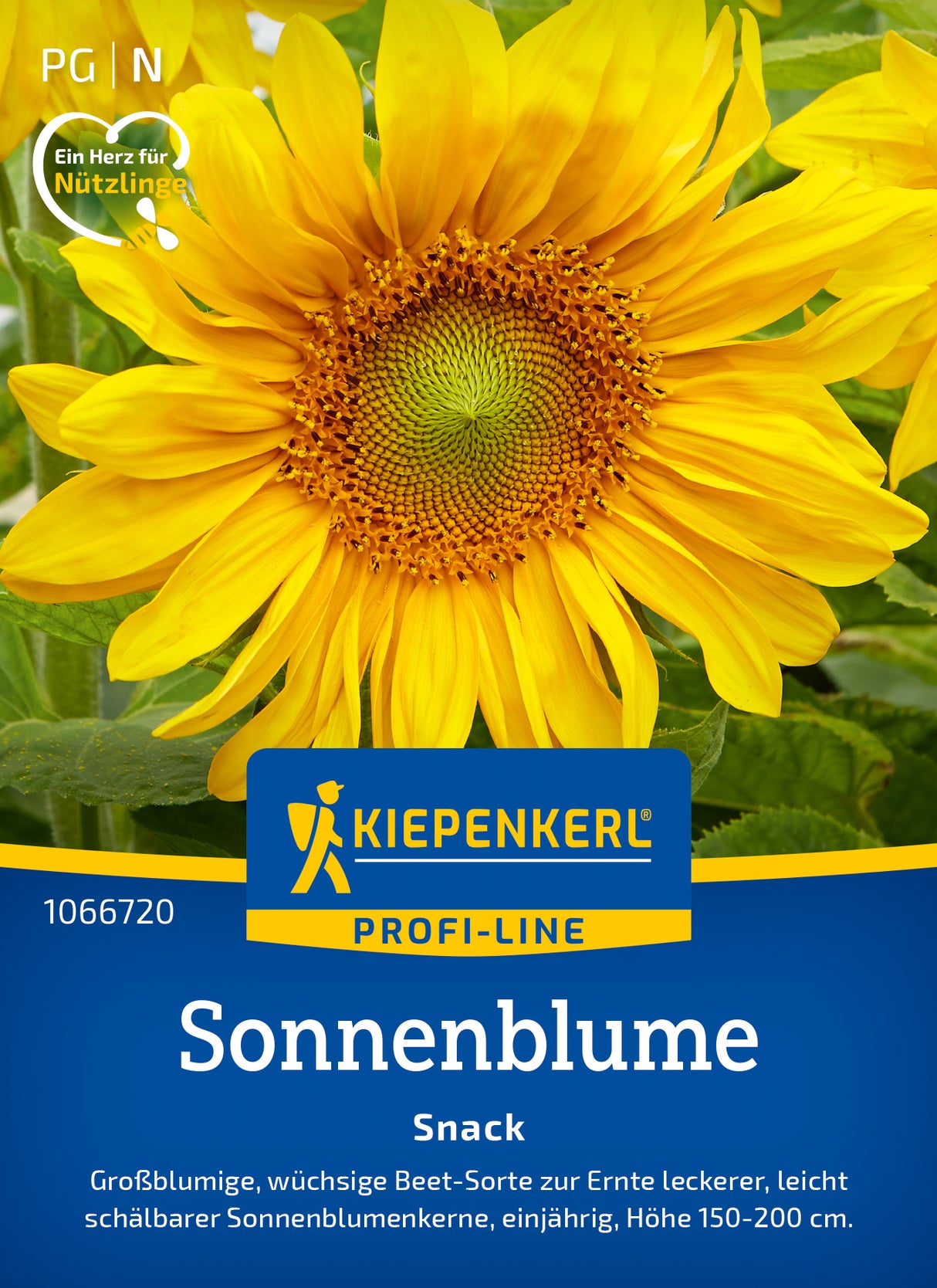 Kiepenkerl Sonnenblumen Snack
