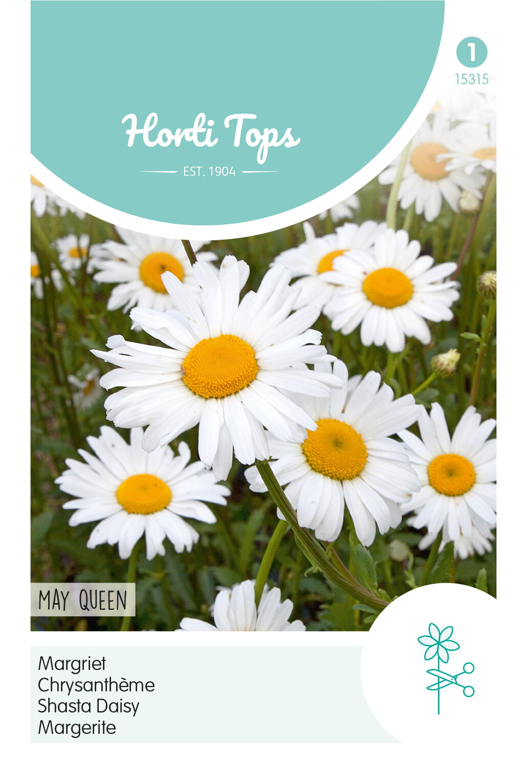 Horti Tops Margerite Maikönigin