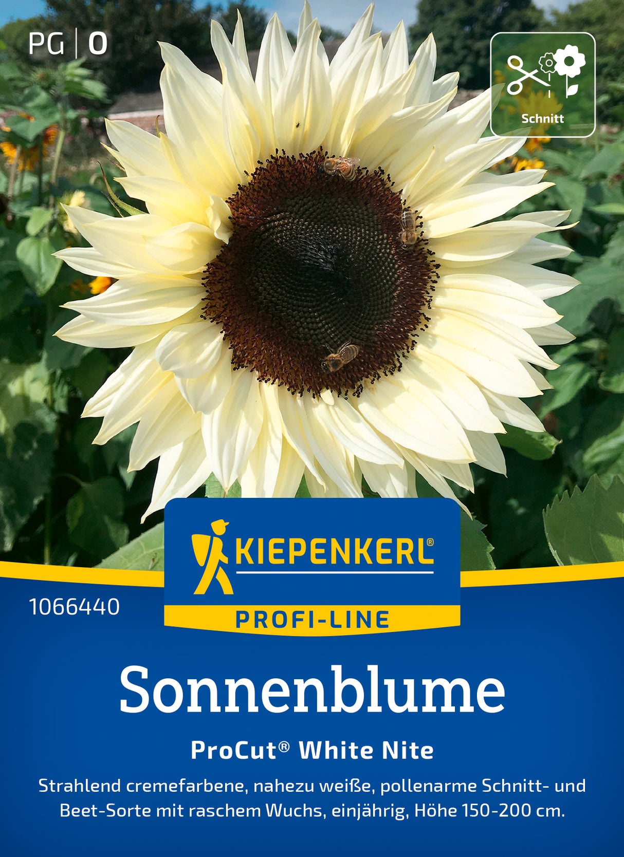 Kiepenkerl Sonnenblumen ProCut® White Nite