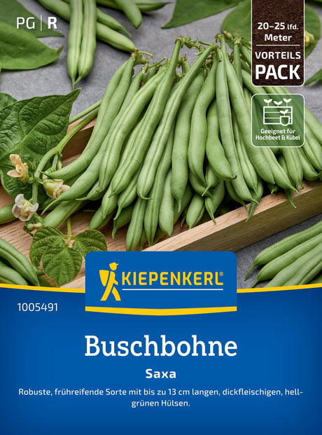 Kiepenkerl Buschbohnen Saxa Vorteilspack