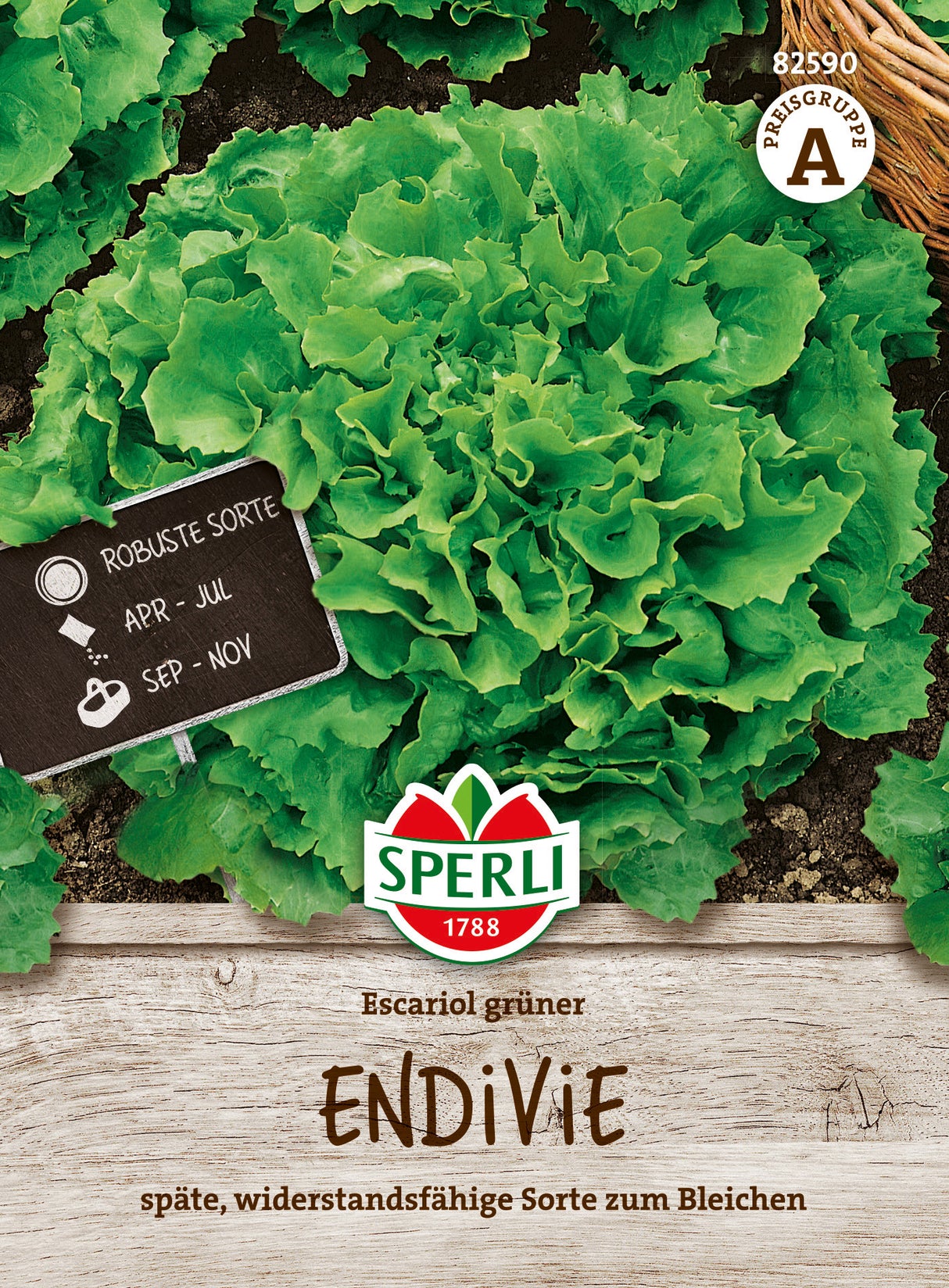 SPERLI Endiviensalat Escariol grüner