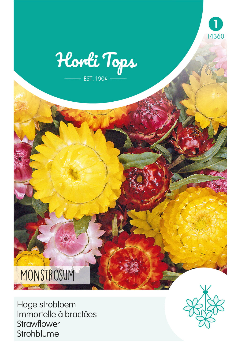 Horti Tops Strohblume Bracteatum Gefüllte Mischung