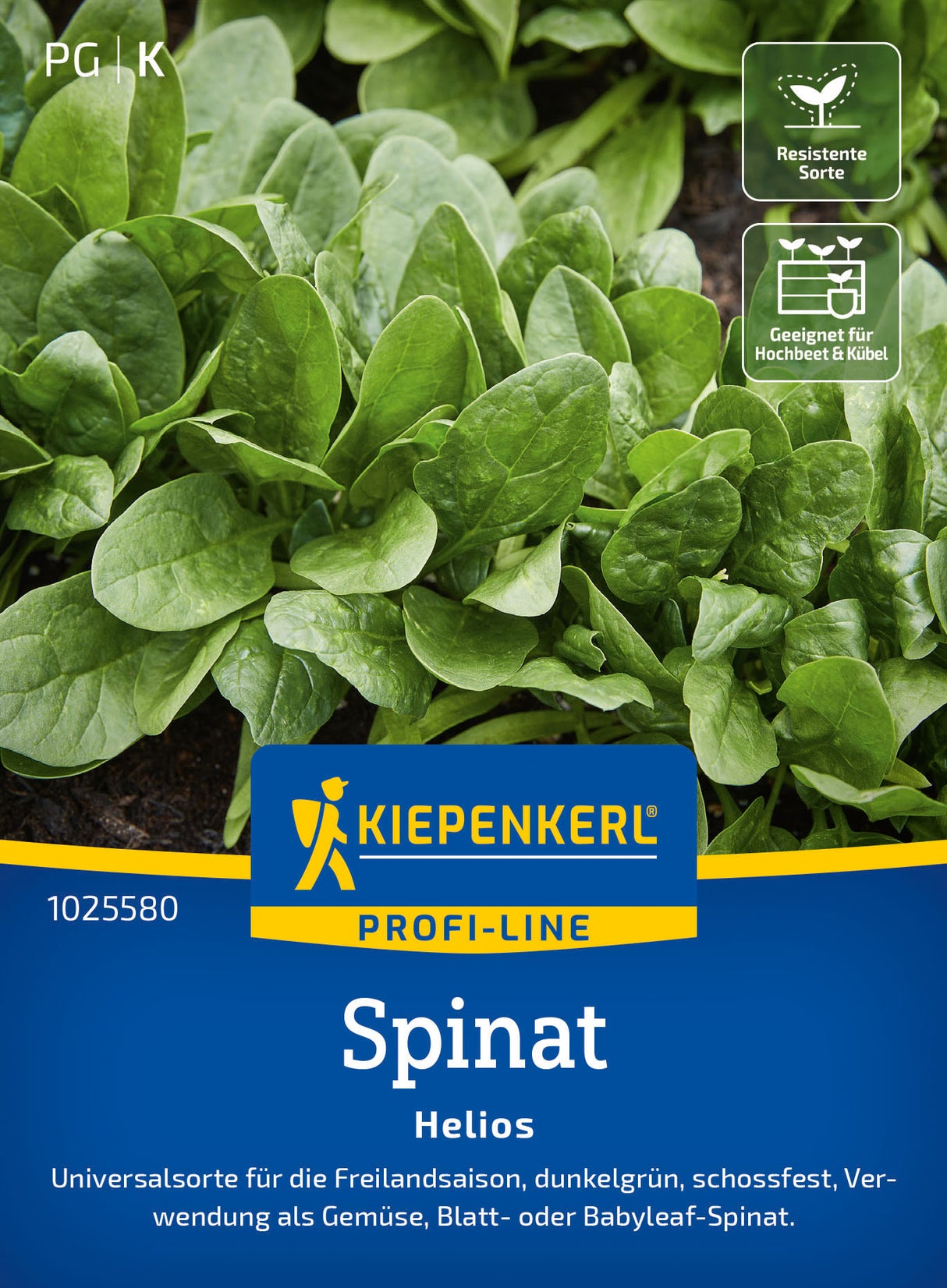 Kiepenkerl Spinat Helios