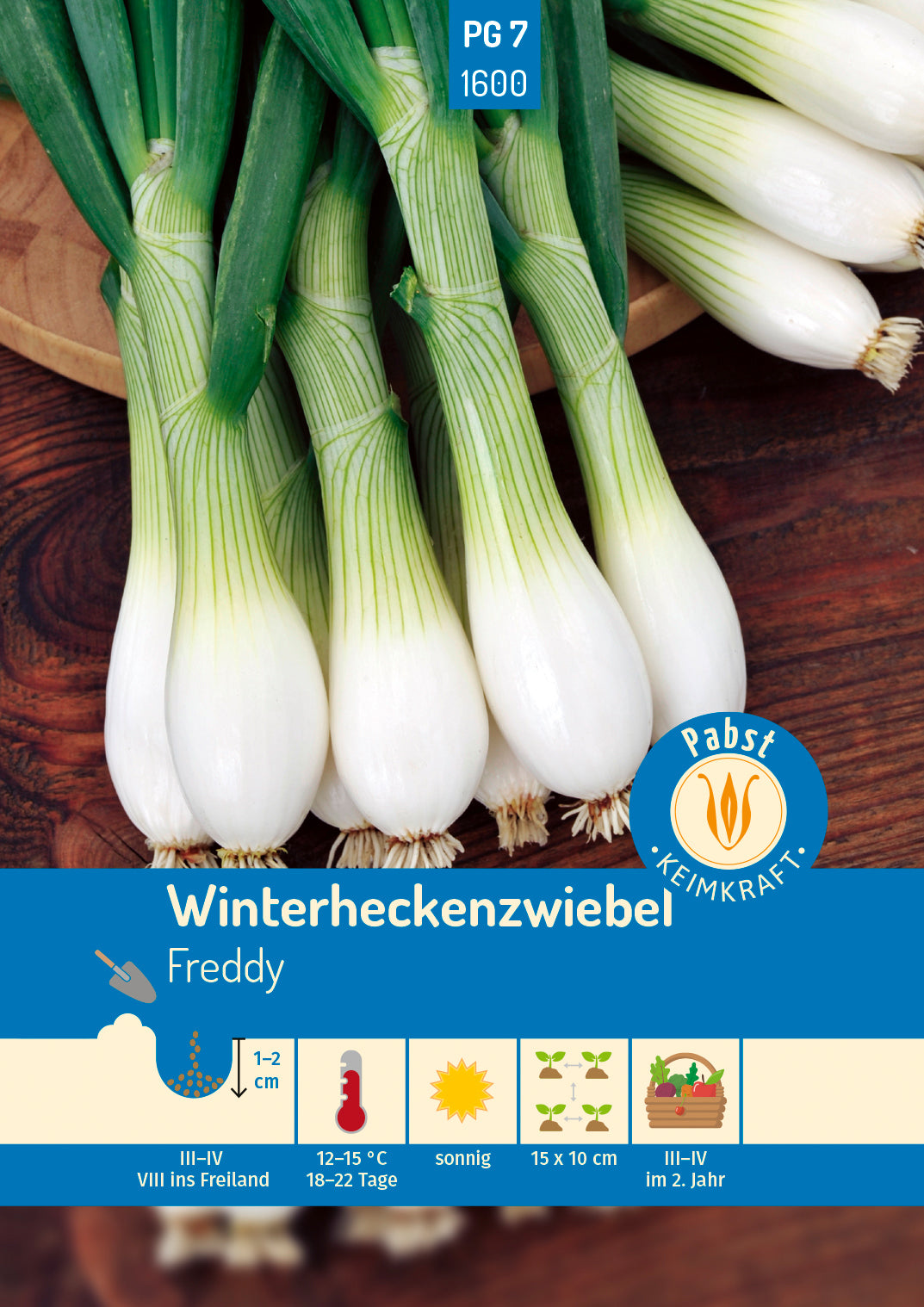 Pabst Keimkraft Winterheckenzwiebel Freddy