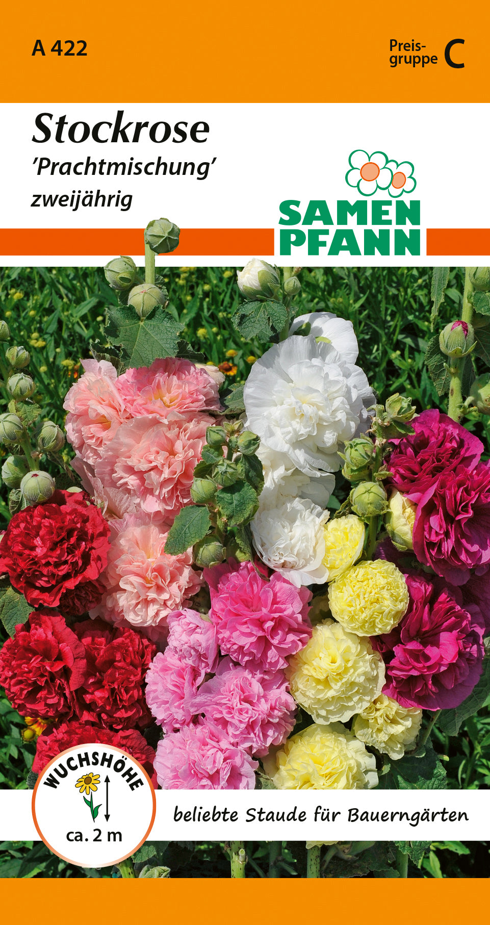 Samen Pfann Stockrose Prachtmischung zweijährig