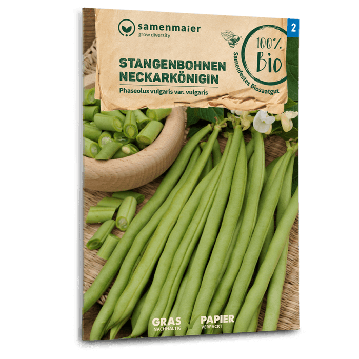Samen Maier BIO Stangenbohnen Neckarkönigin