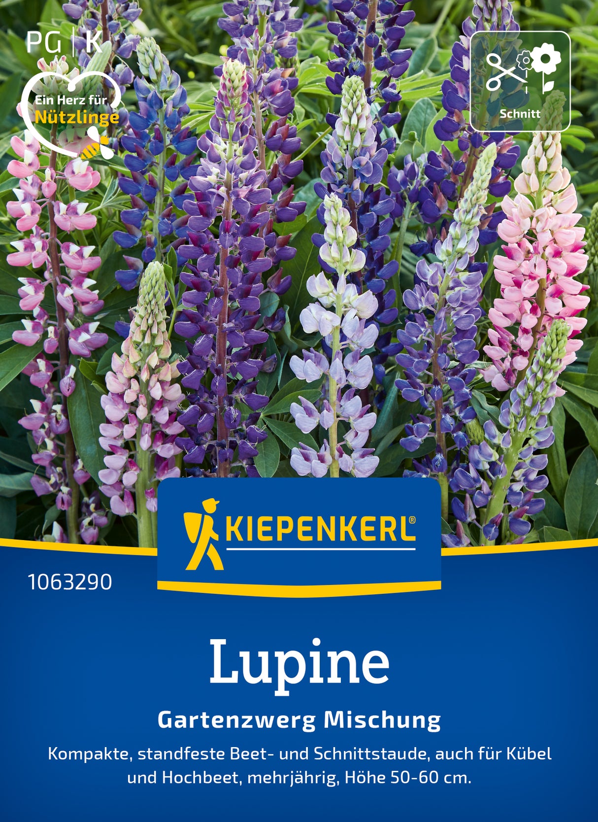 Kiepenkerl Lupinen Gartenzwerg Mischung