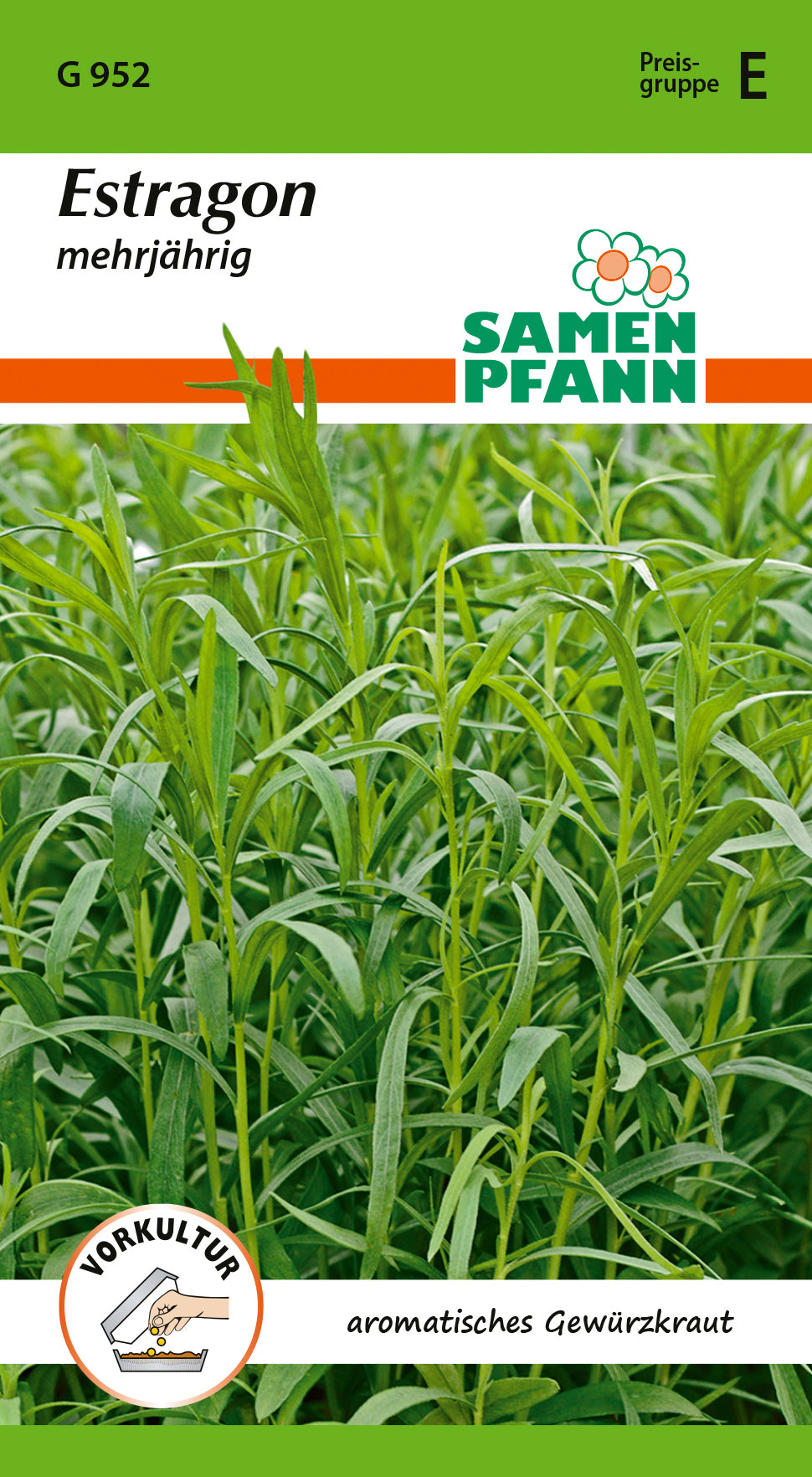 Samen Pfann Estragon Mehrjährig