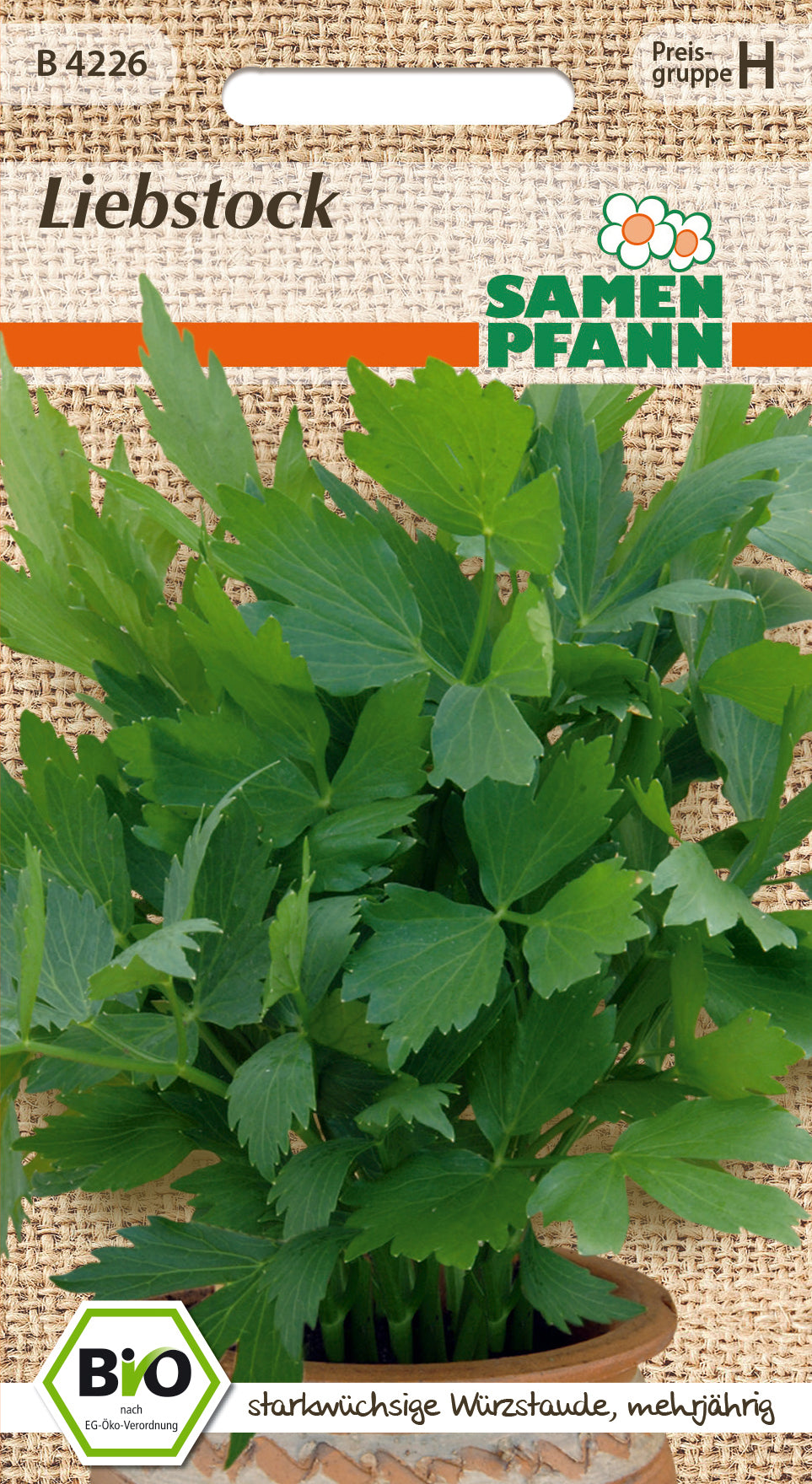 Samen Pfann BIO Liebstock Maggikraut