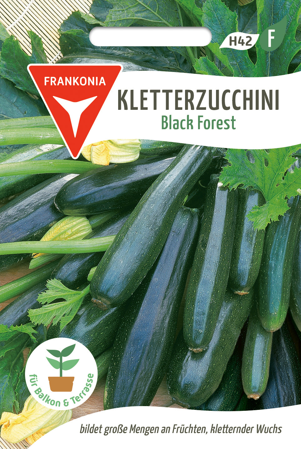 Frankonia Samen Zucchini Black Forest