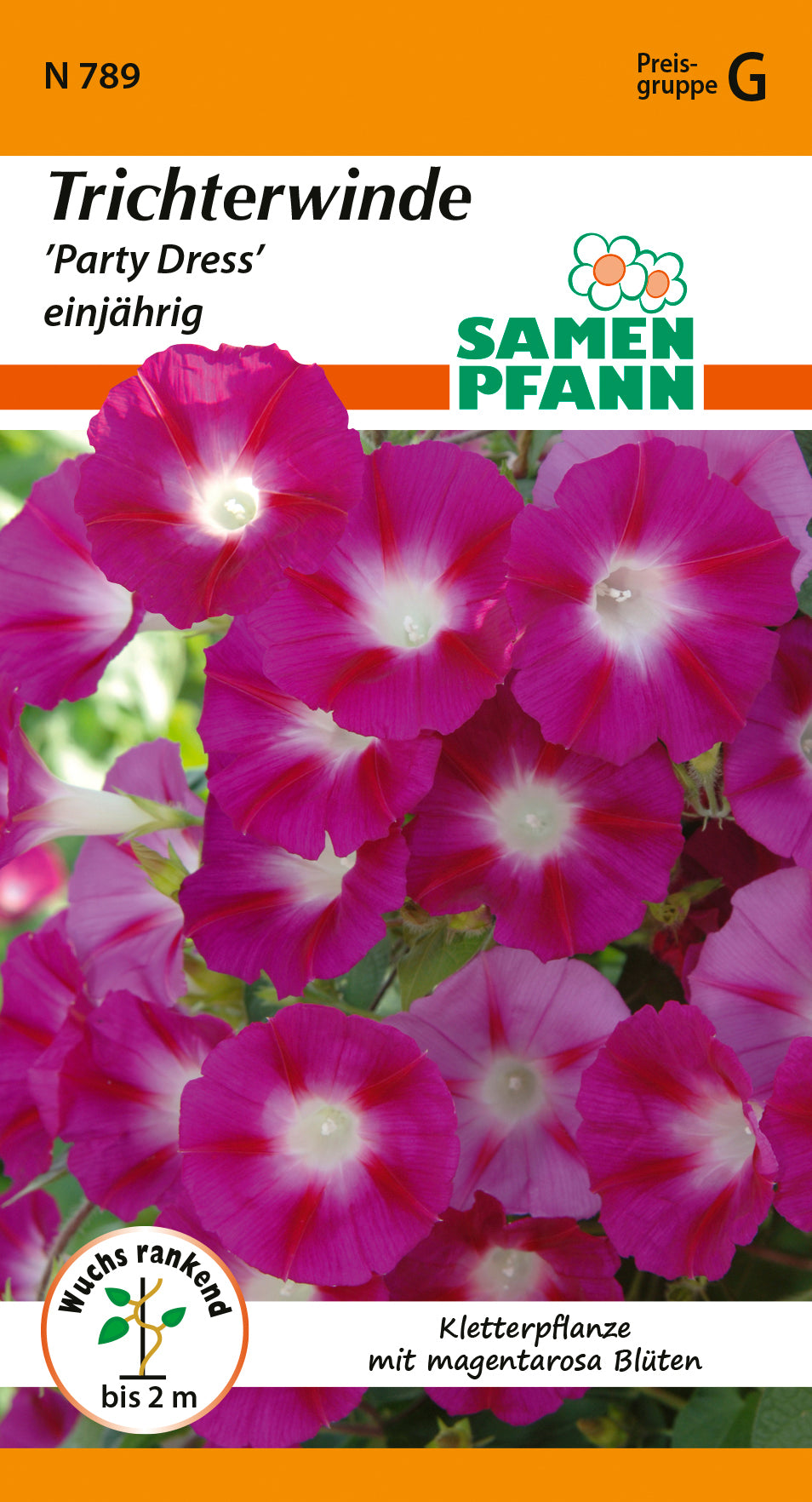 Samen Pfann Trichterwinde Party Dress einjährig