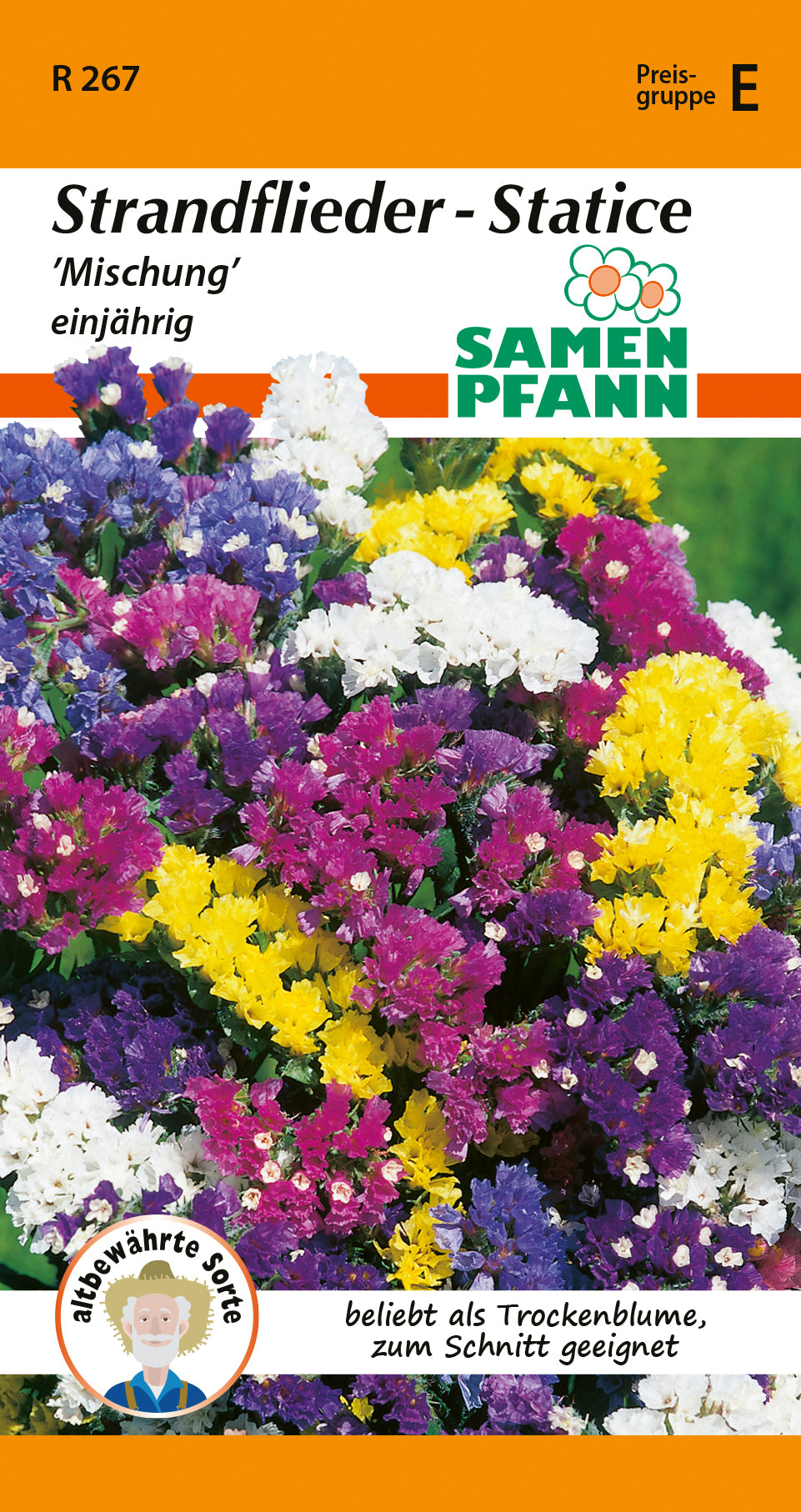 Samen Pfann Strandflieder - Statice Mischung einjährig
