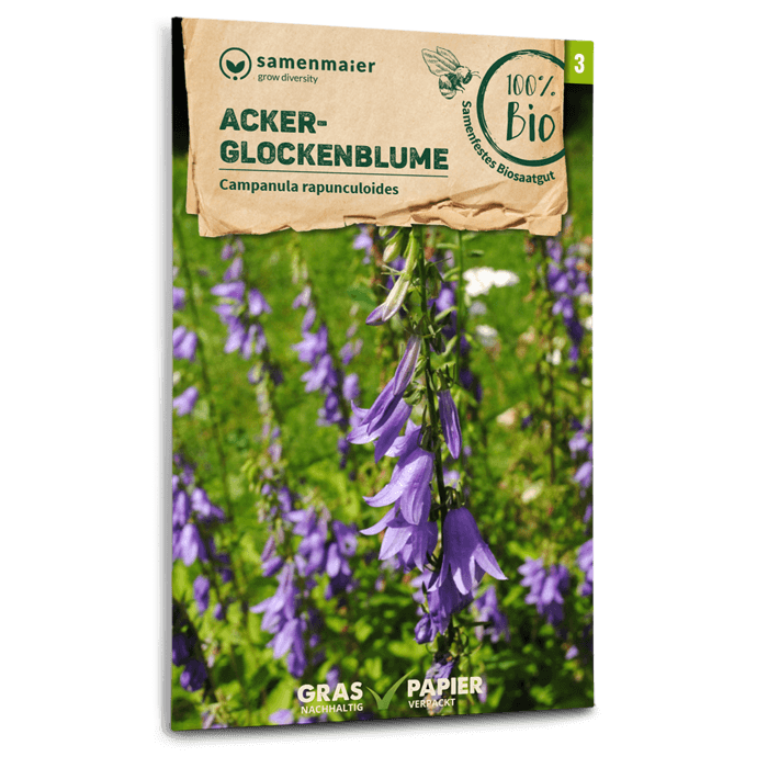 Samen Maier BIO Glockenblumen Acker Wildblume