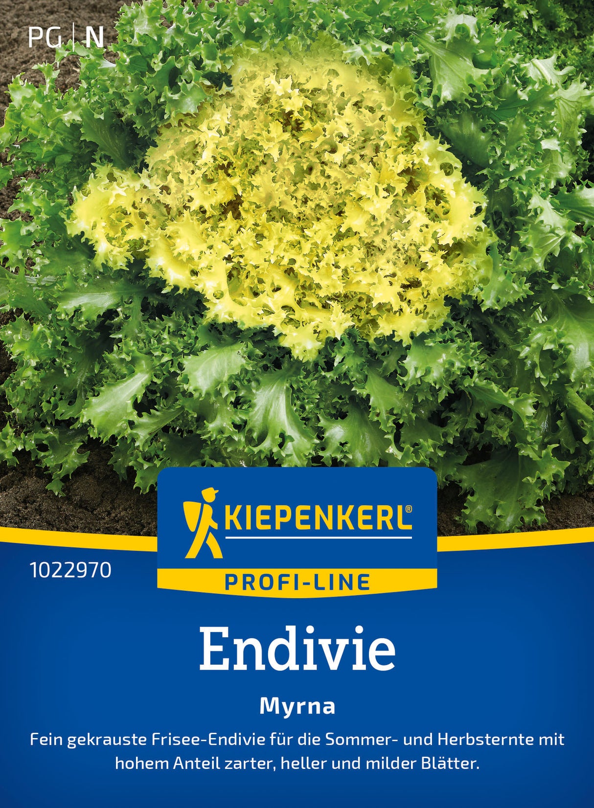 Kiepenkerl Endiviensalat Myrna