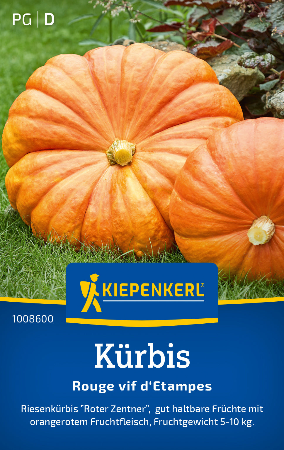 Kiepenkerl Kürbis Rouge vif d'Etampes "Roter Zentner"