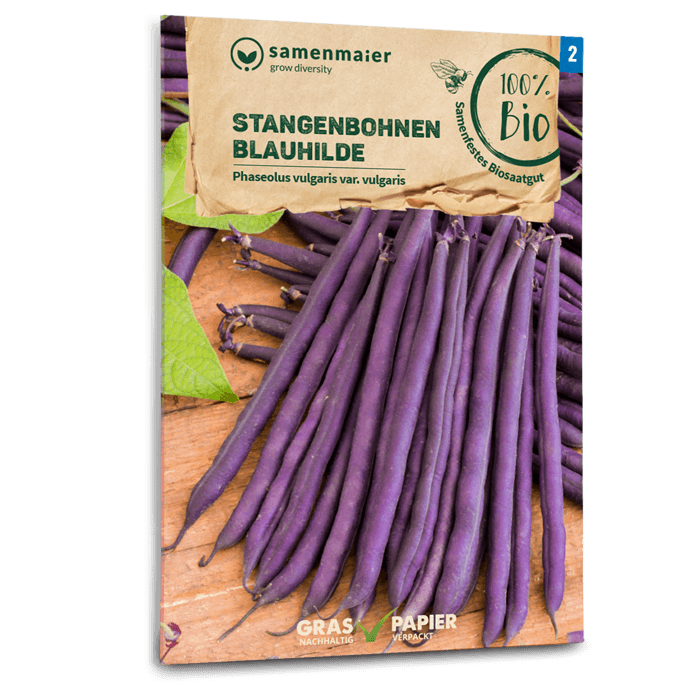 Samen Maier BIO Stangenbohnen Blauhilde