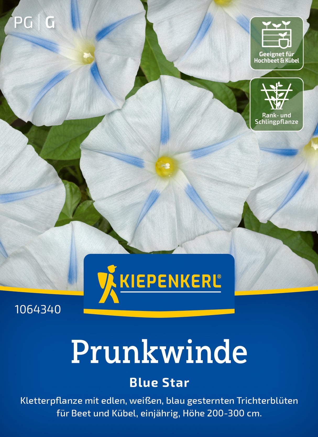 Kiepenkerl Prunkwinden Blue Star