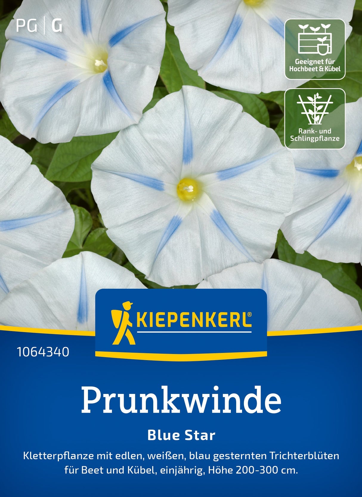 Kiepenkerl Prunkwinden Blue Star