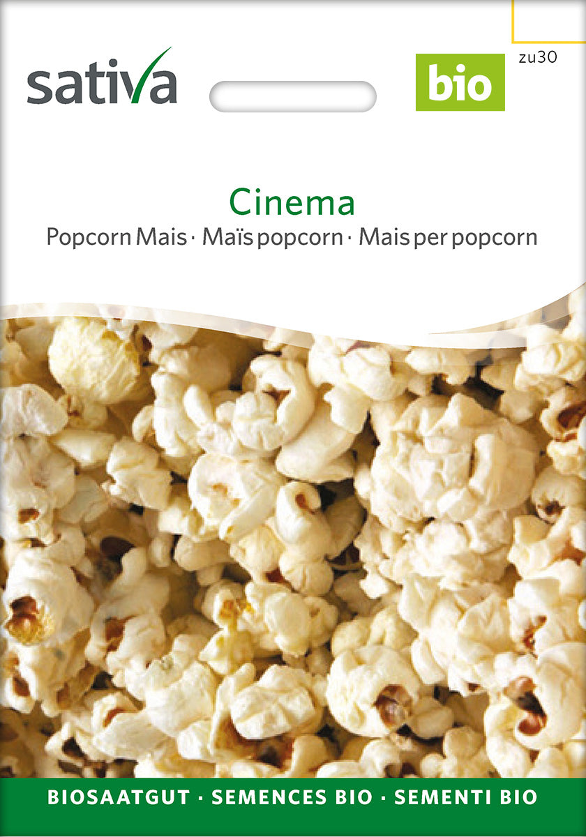Sativa Popcorn Mais Cinema