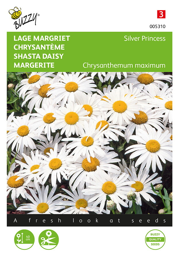 Buzzy Seeds Margeriten Silver Princess