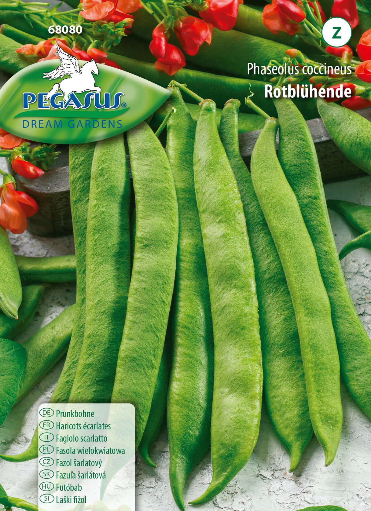 Prunkbohne Rotblühende