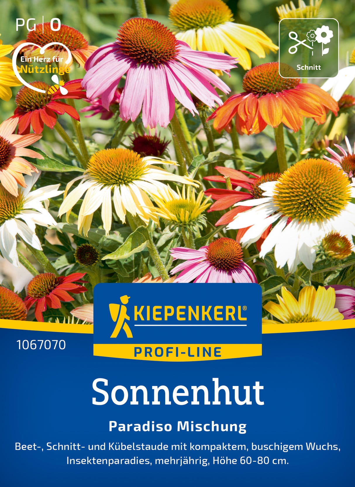 Kiepenkerl Sonnenhut Paradiso Mischung
