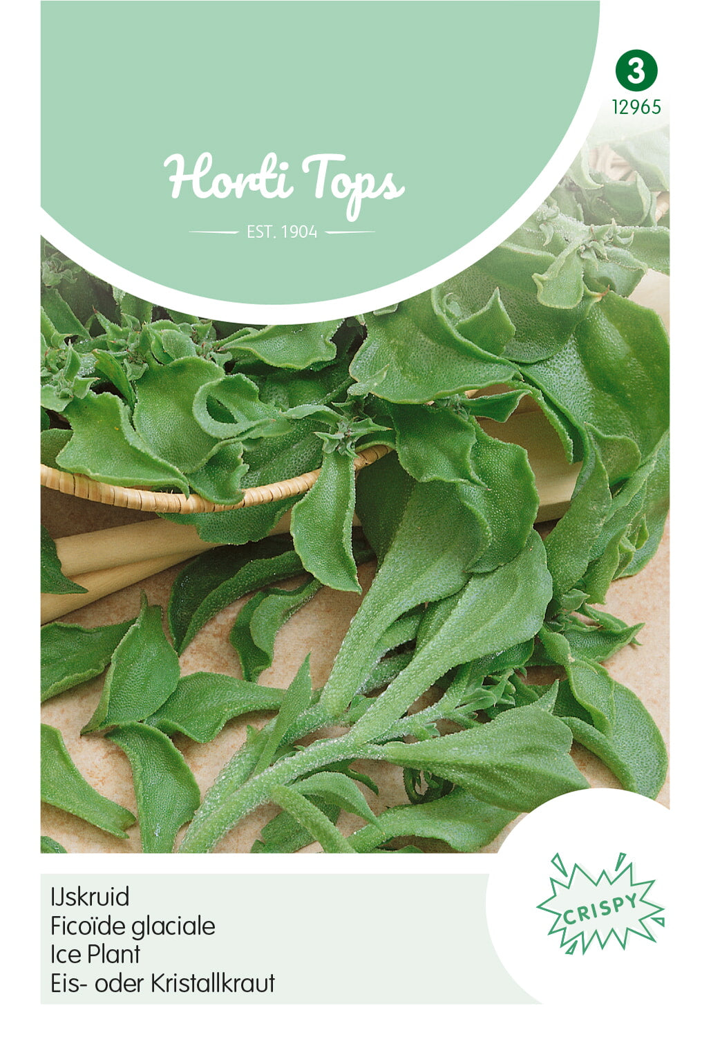 Horti Tops Kristallkraut Eiskraut