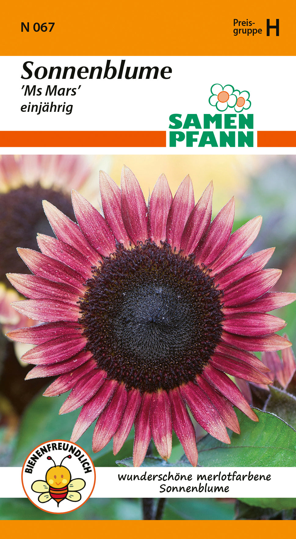 Samen Pfann Sonnenblume Ms Mars einjährig