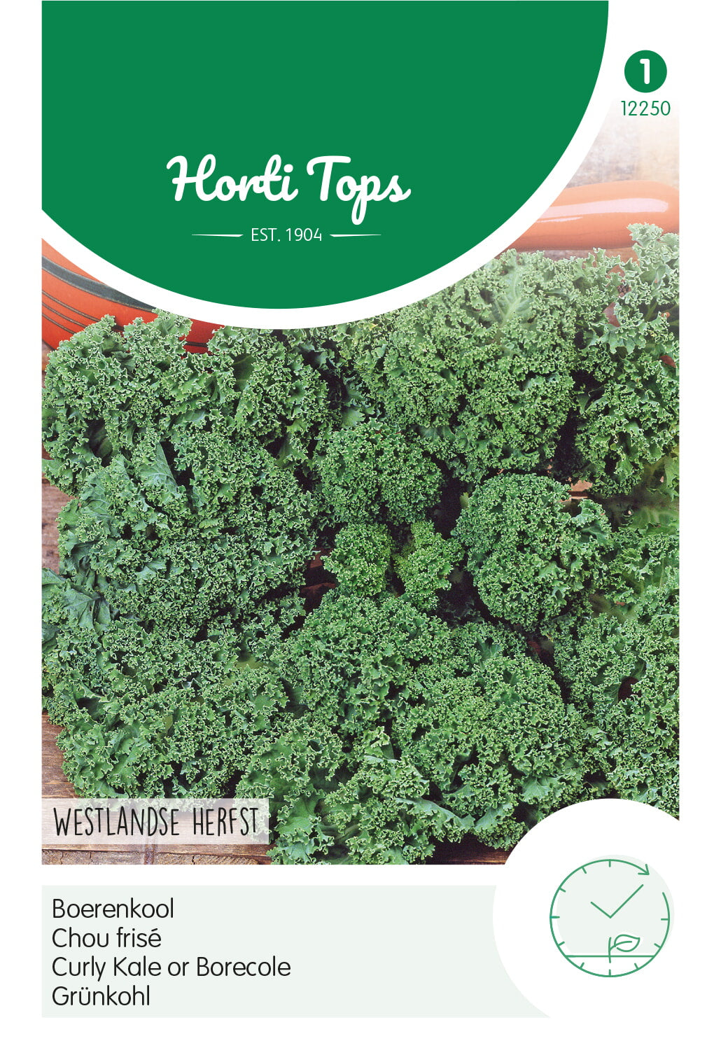 Horti Tops Grünkohl Westländer Halbhoher