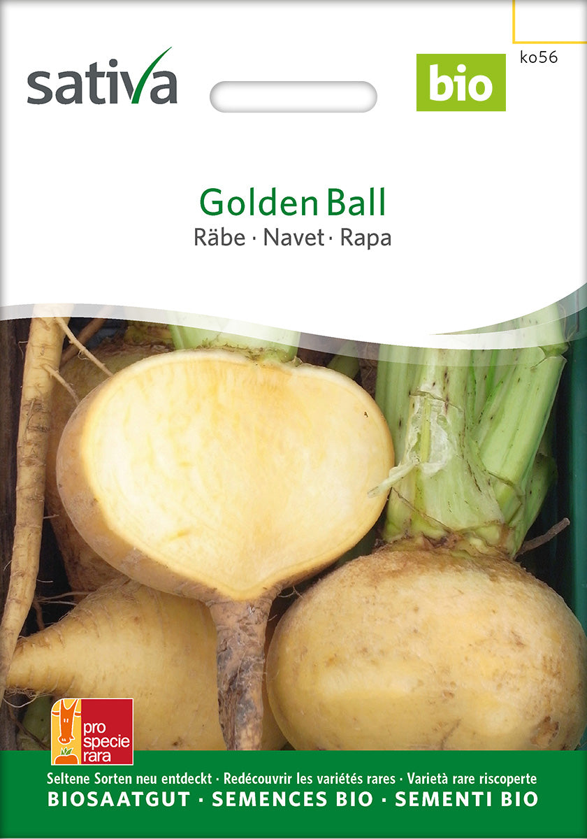 Sativa Räbe Golden Ball