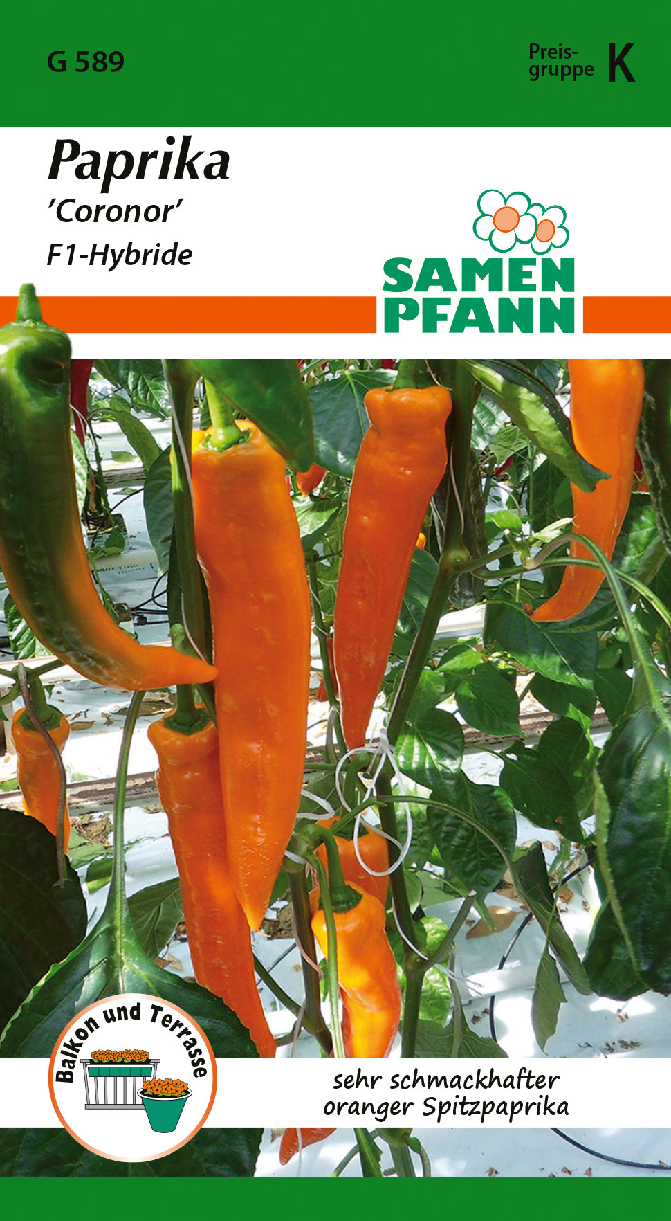 Samen Pfann Paprika Coronor