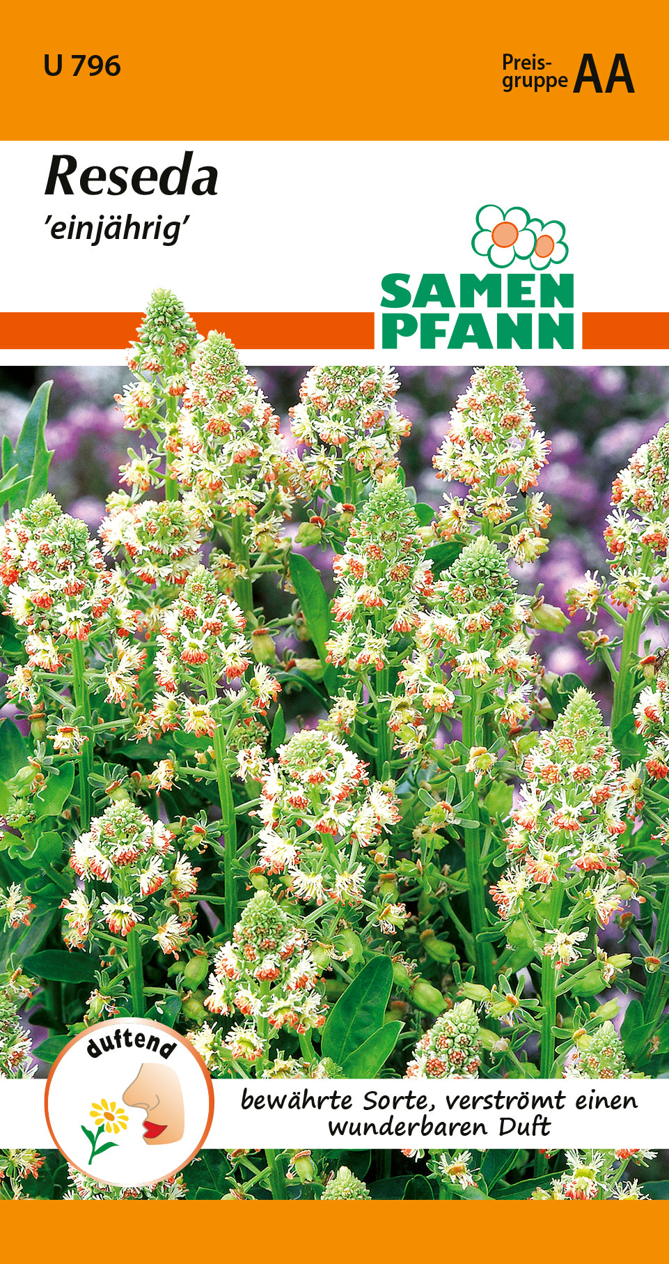 Samen Pfann Reseda einjährig
