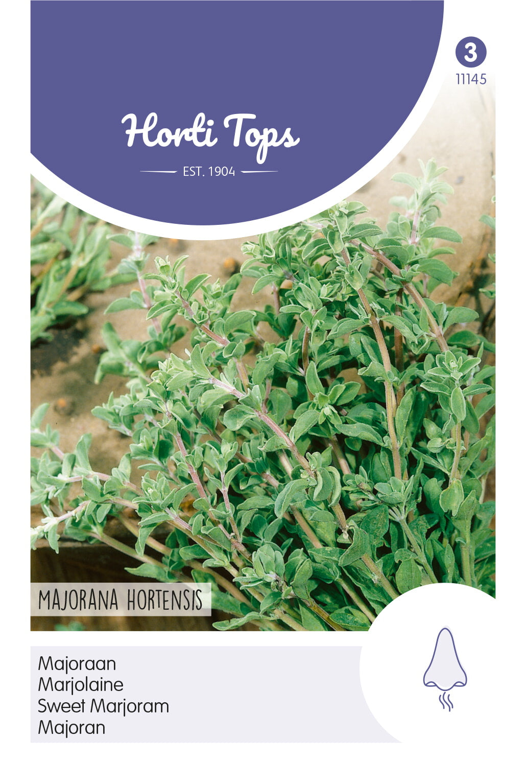 Horti Tops Majoran Einjährig