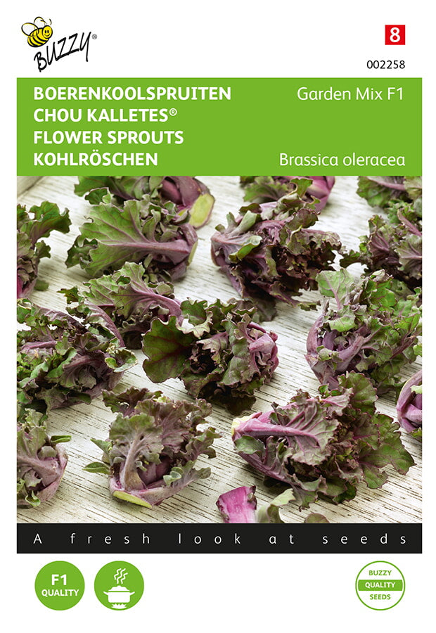 Buzzy Seeds Kohlröschen Kalettes® F1 Garten Mischung