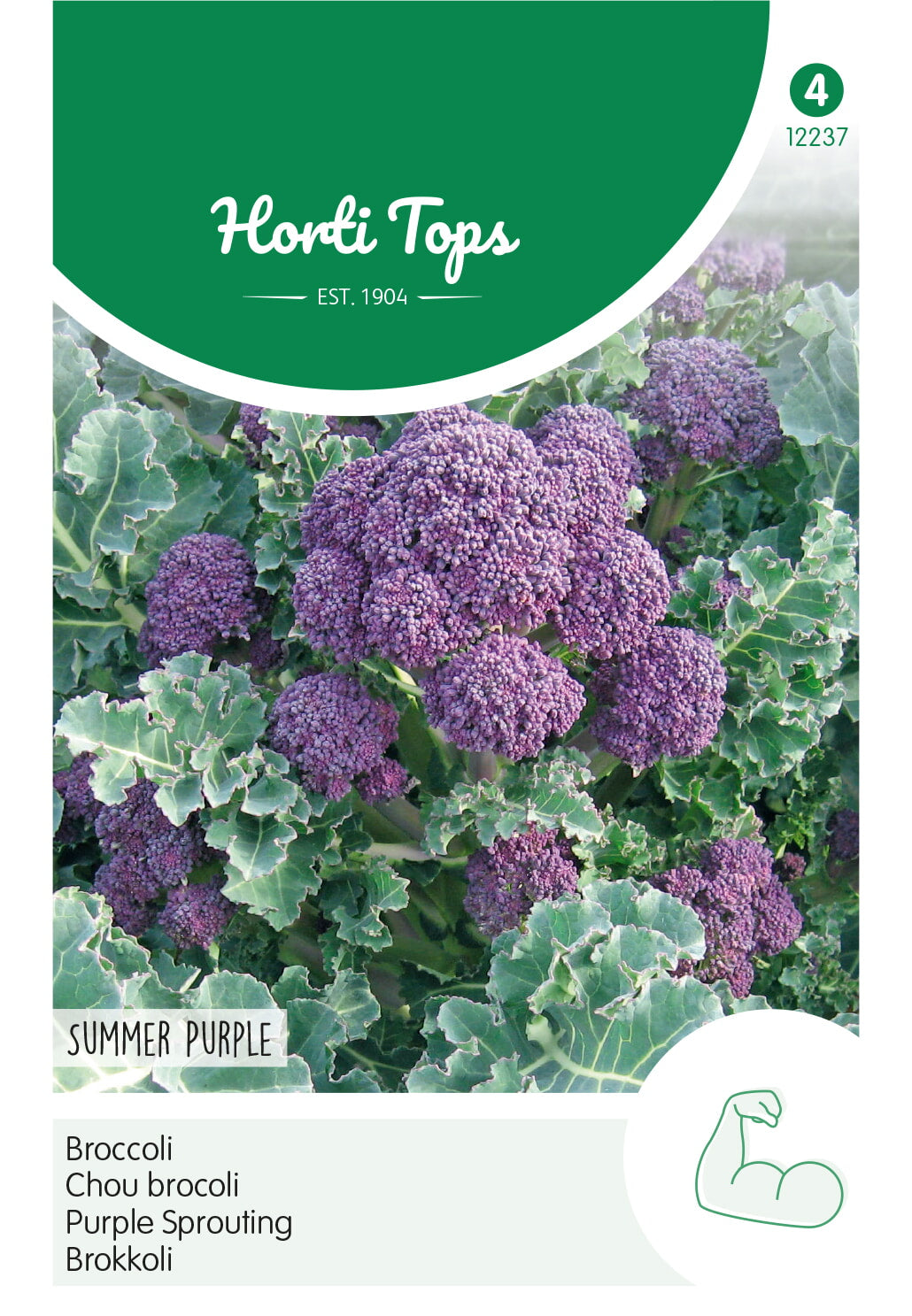 Horti Tops Brokkoli Summer Purple