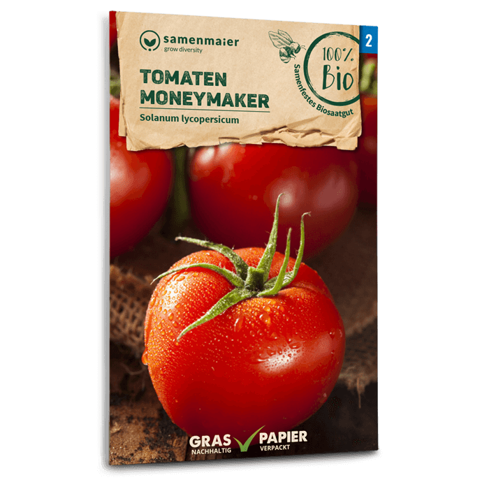 Samen Maier BIO Salattomaten Moneymaker