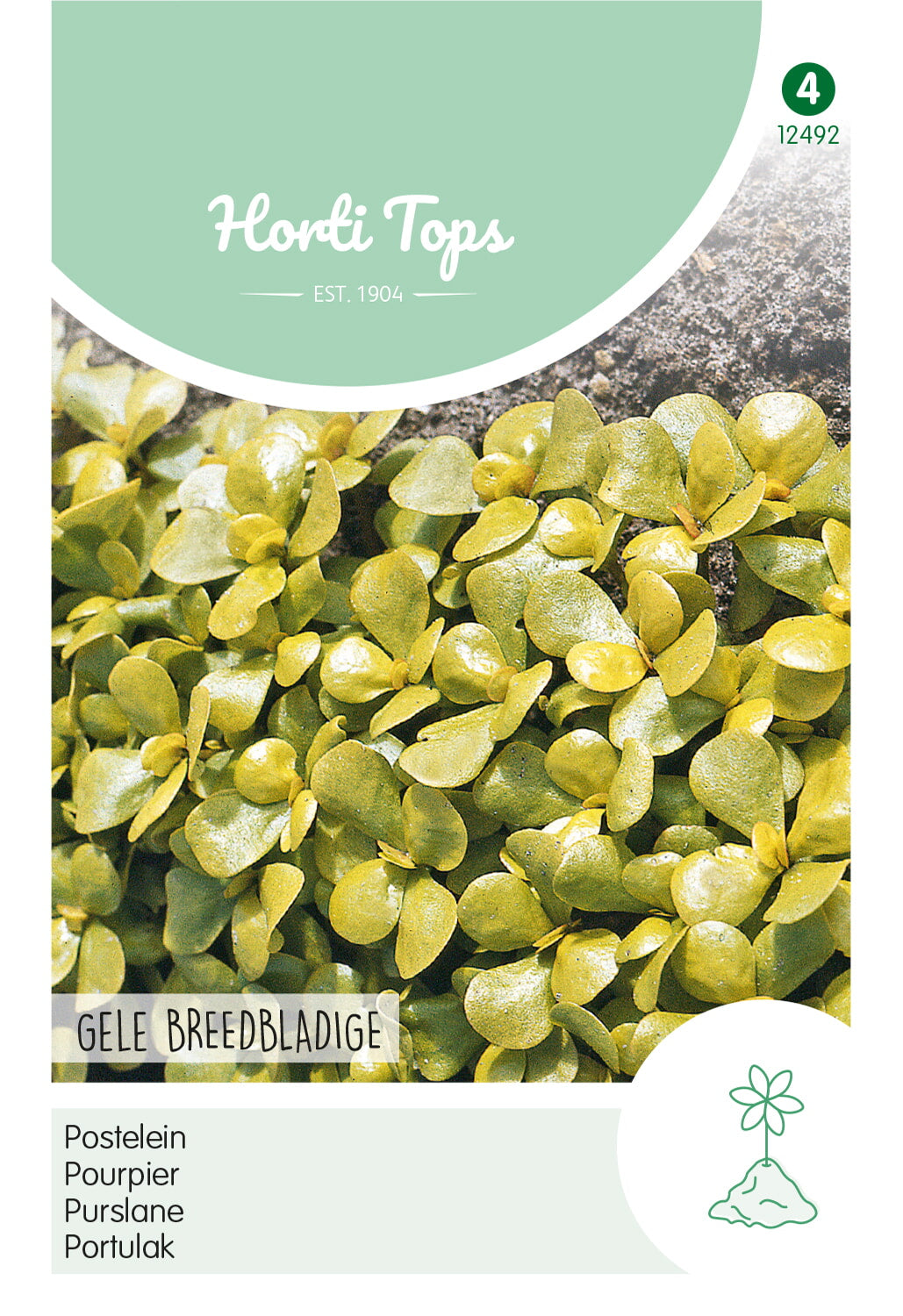 Horti Tops Portulak Gelber Breitblättriger