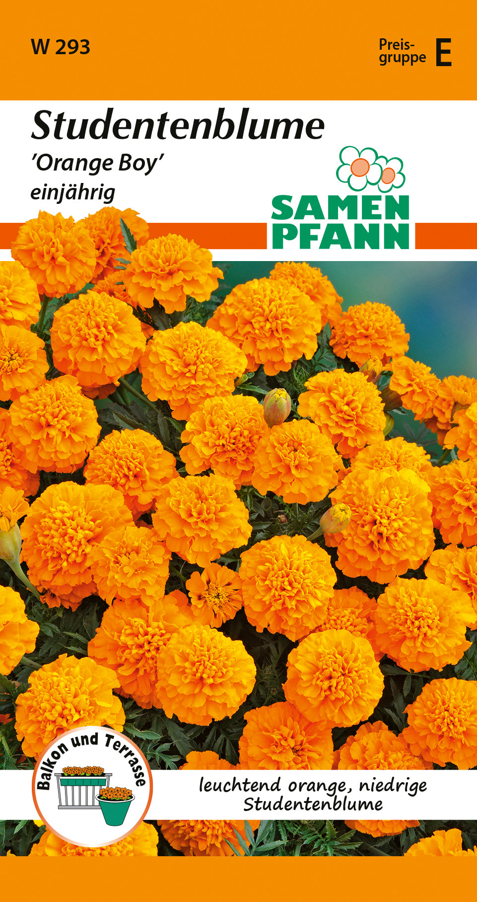 Samen Pfann Studentenblume Orange Boy einjährig