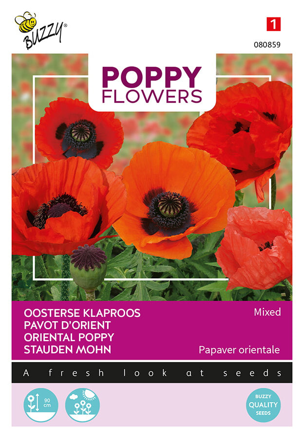 Buzzy Seeds Staudenmohn  Oriental