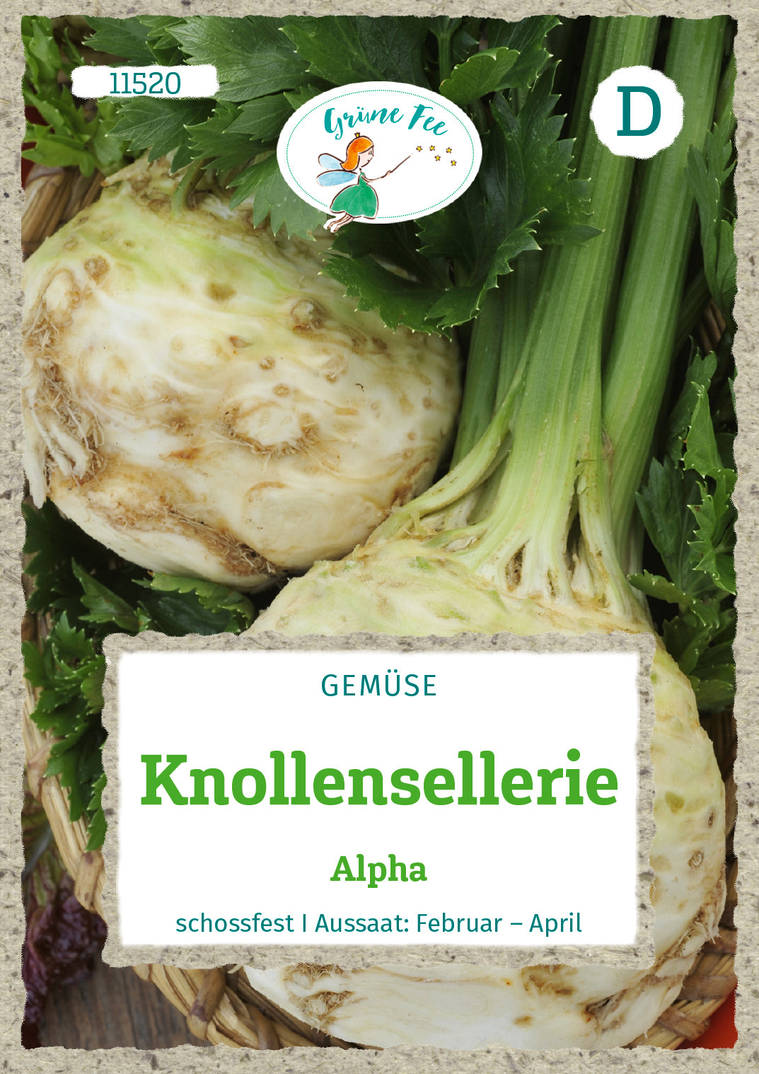 Grüne Fee Knollensellerie Alpha