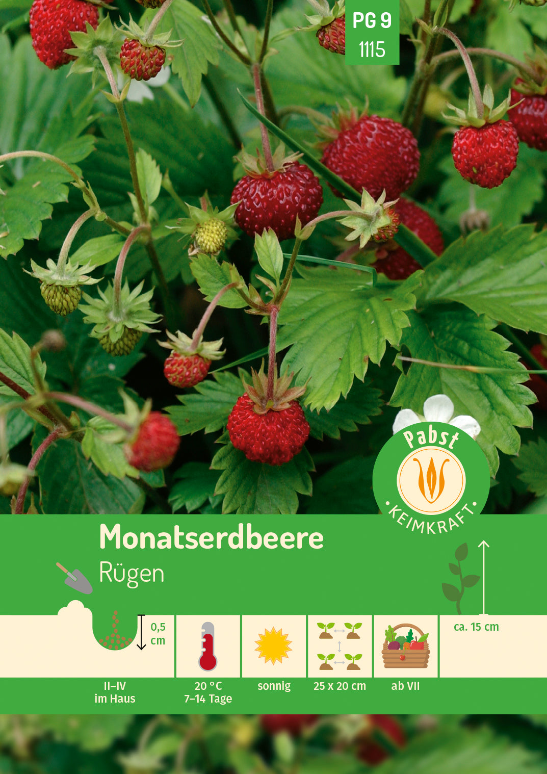 Pabst Keimkraft Monatserdbeeren Rügen