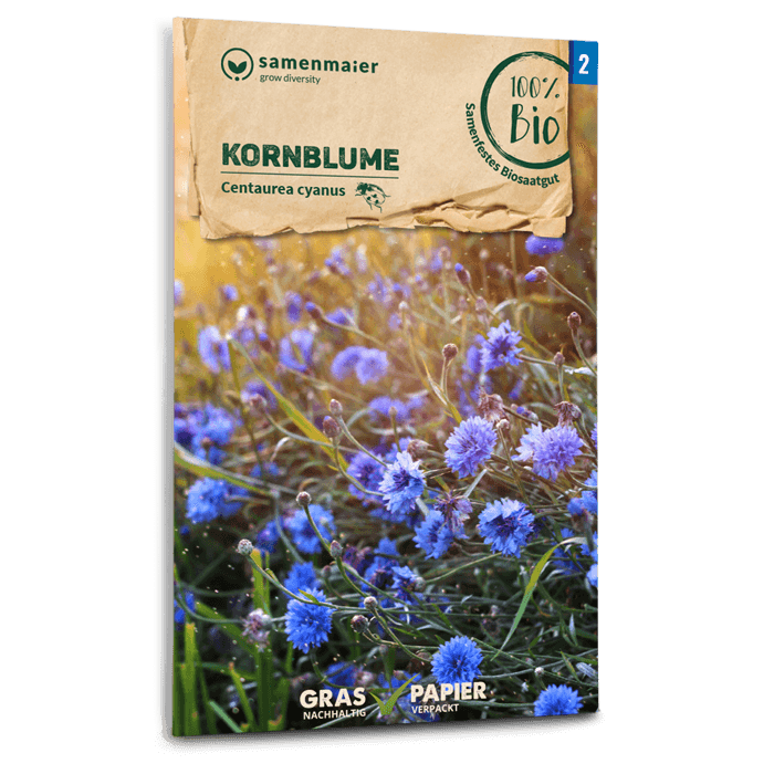 Samen Maier BIO Kornblumen blau