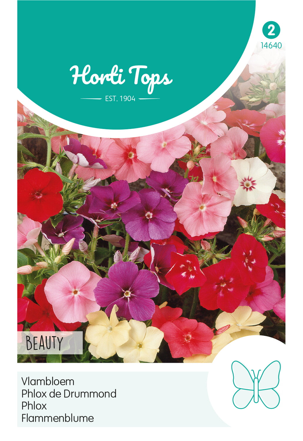 Horti Tops Phlox einjährige Nana Compacta Beauty Mischung