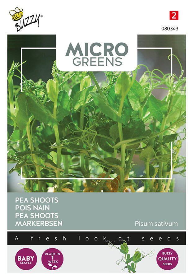 Buzzy Seeds Microgreens Markerbsen