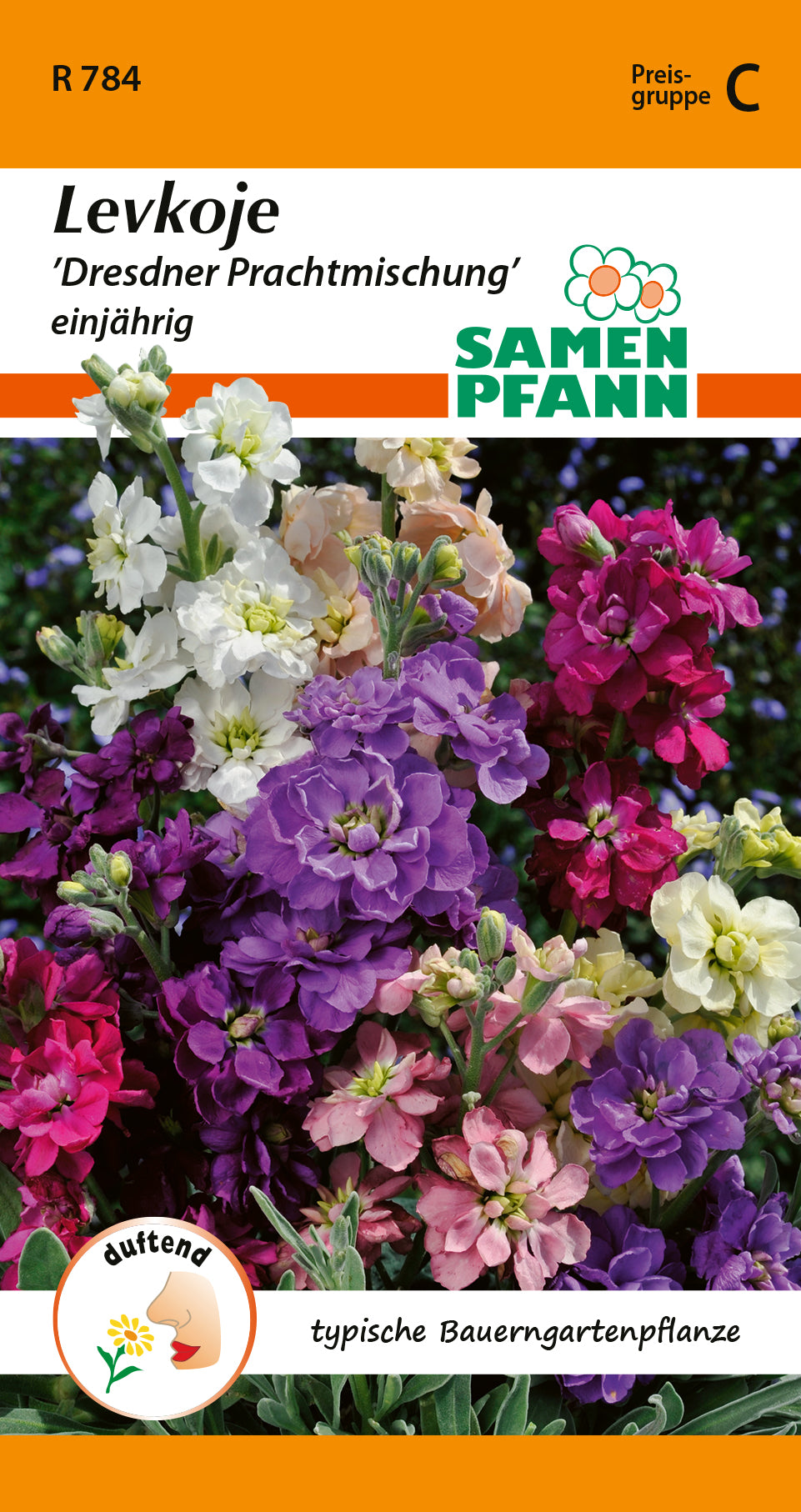 Samen Pfann Dresdner Prachtmischung Levkoje