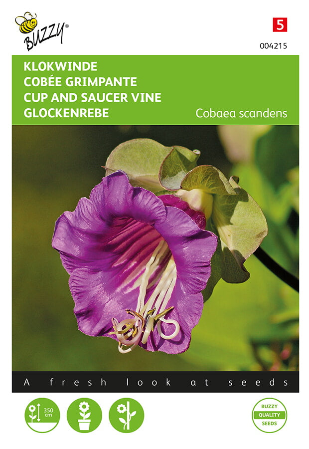 Buzzy Seeds Glockenrebe