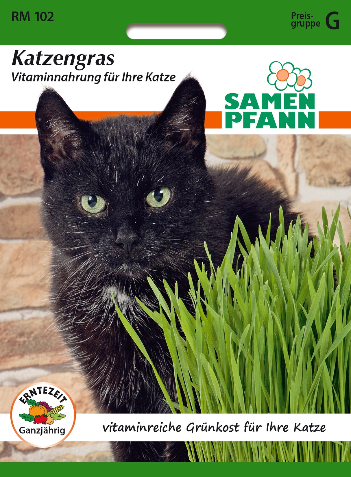 Samen Pfann Katzengras Vitaminnahrung für Ihre Katze