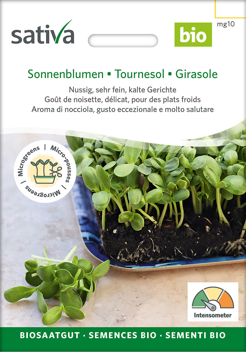Sativa Keimsprossen Sonnenblumen