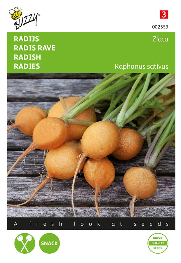Buzzy Seeds Radieschen Zlata rund Gelb